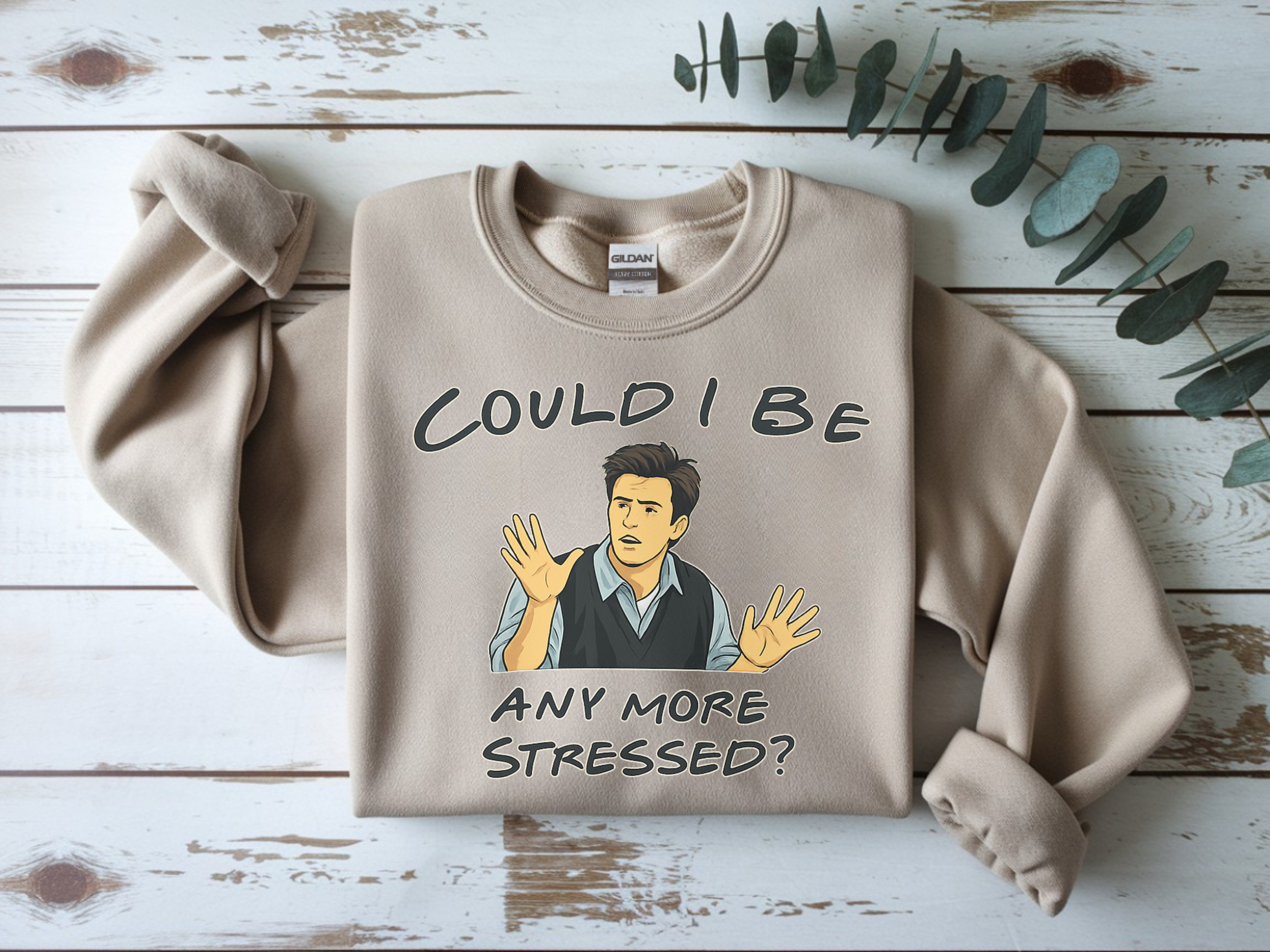 Could I Be Any More Stressed? Sweatshirt — Funny Sarcastic Crewneck for Friends & TV Fans