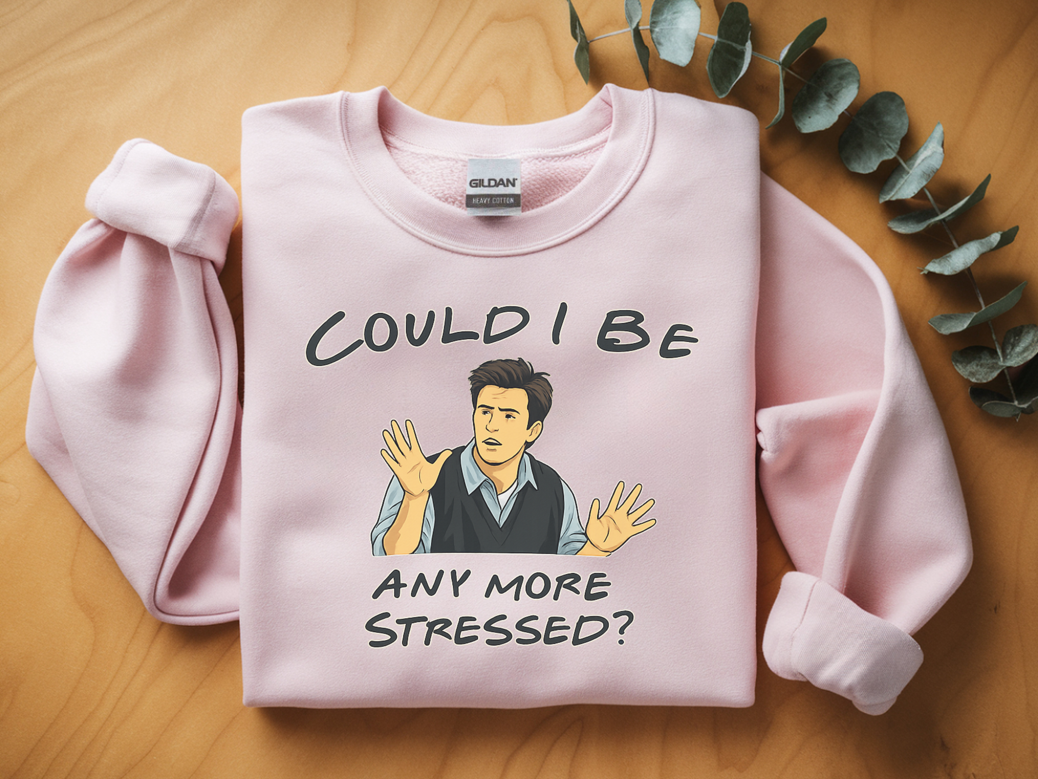 Could I Be Any More Stressed? Sweatshirt — Funny Sarcastic Crewneck for Friends & TV Fans