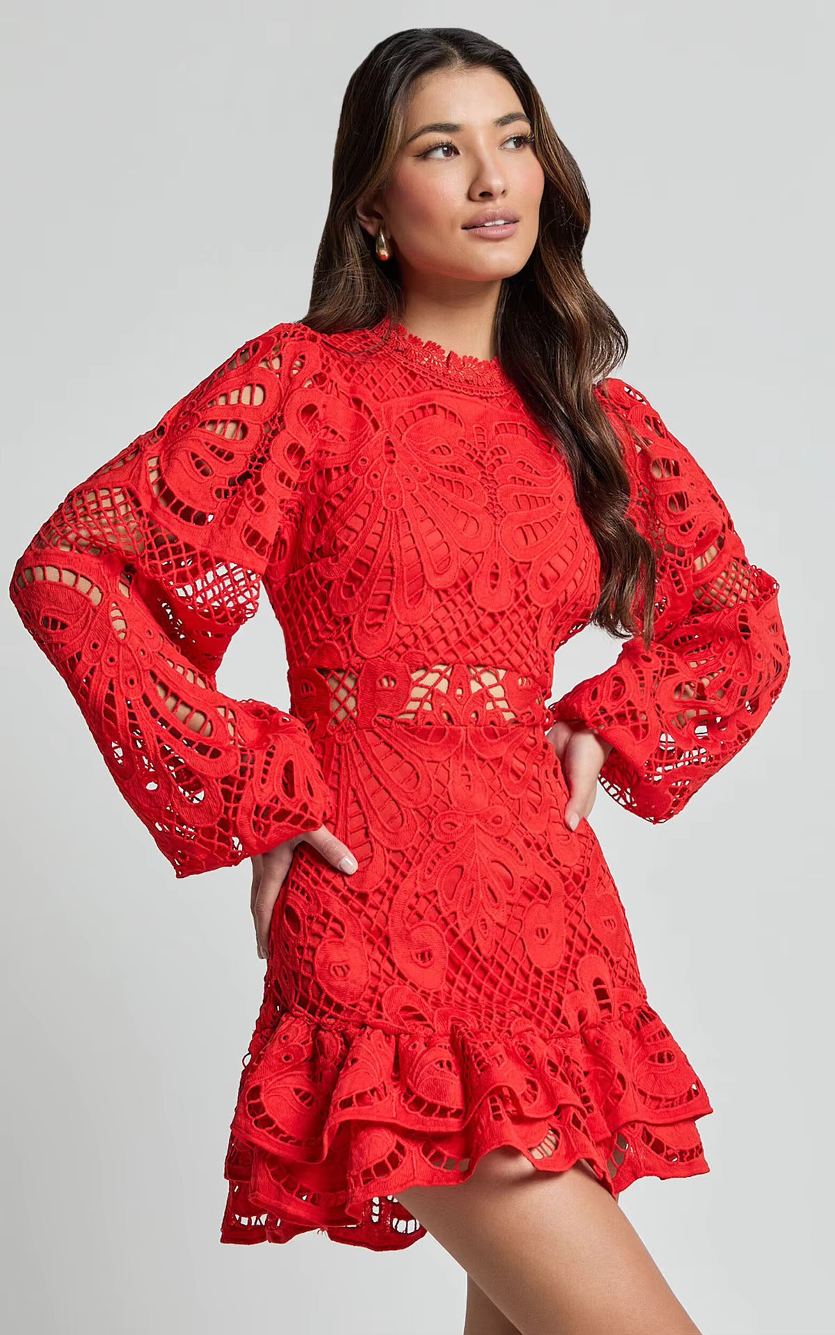 Lace Mini Dress – Long Sleeve Crochet Dress with High Neckline, Intricate Cutout Embroidery, Fitted Waist and Ruffle Hem